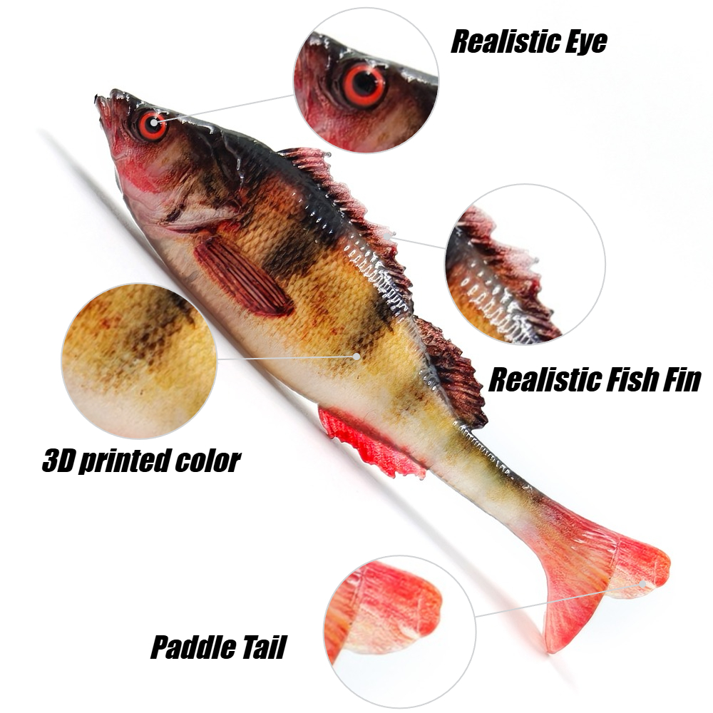 4/5 Pezzi Esca Morbida Stampat - Fishing Equipment Target recensione e prezzo