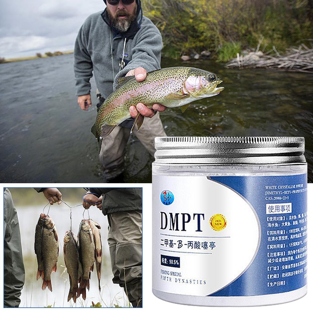 50g Reale DMPT Esca da pesca a - Fishing Equipment Market recensione e prezzo